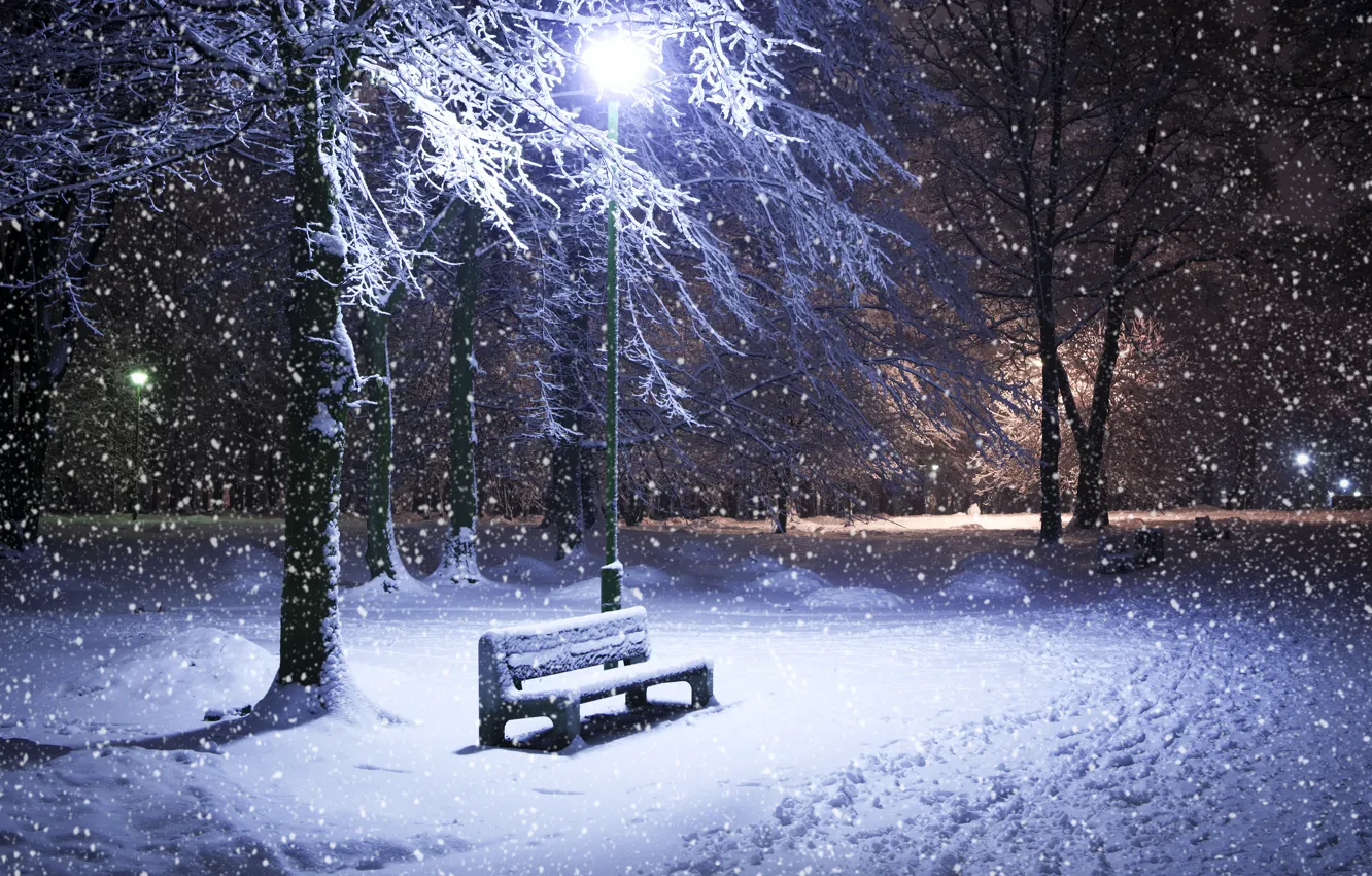 Фото обои зима, снег, деревья, ночь, парк, фонарь, лавка