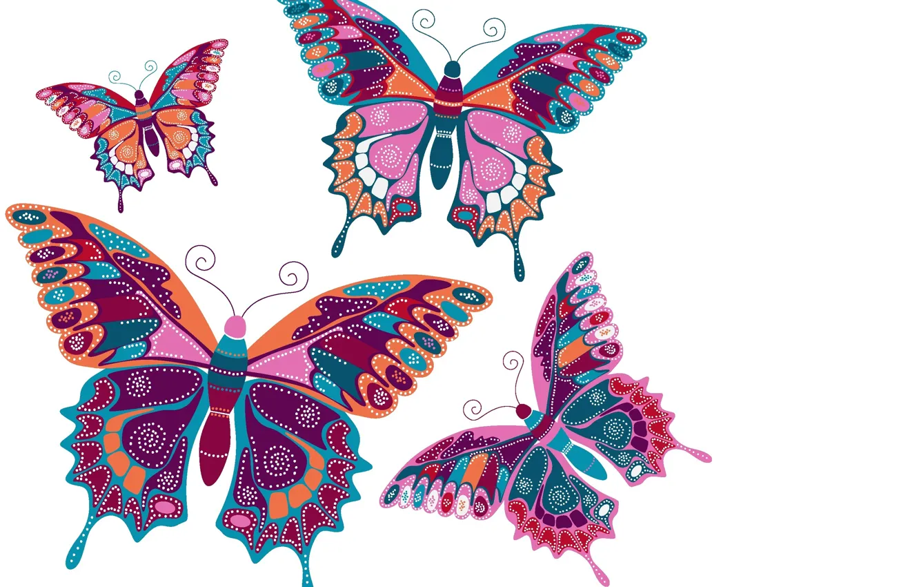 Фото обои бабочки, фон, вектор