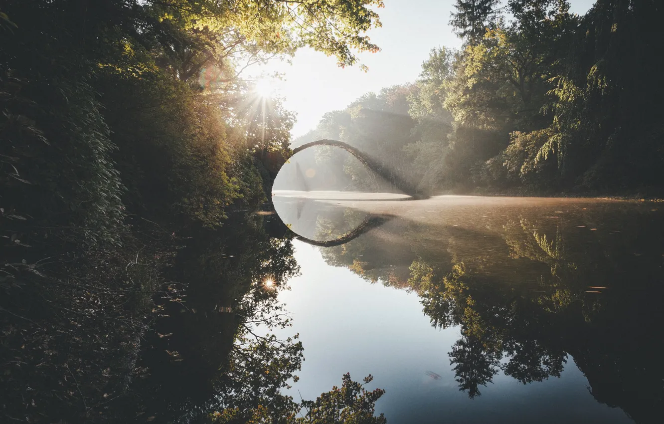 Фото обои осень, свет, природа, парк, река, мостик, водоем
