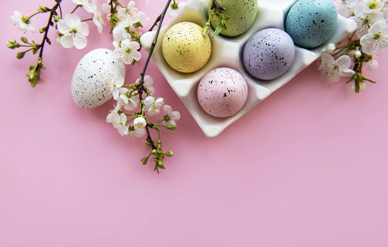 Фото обои цветы, яйца, весна, colorful, Пасха, flowers, spring, Easter