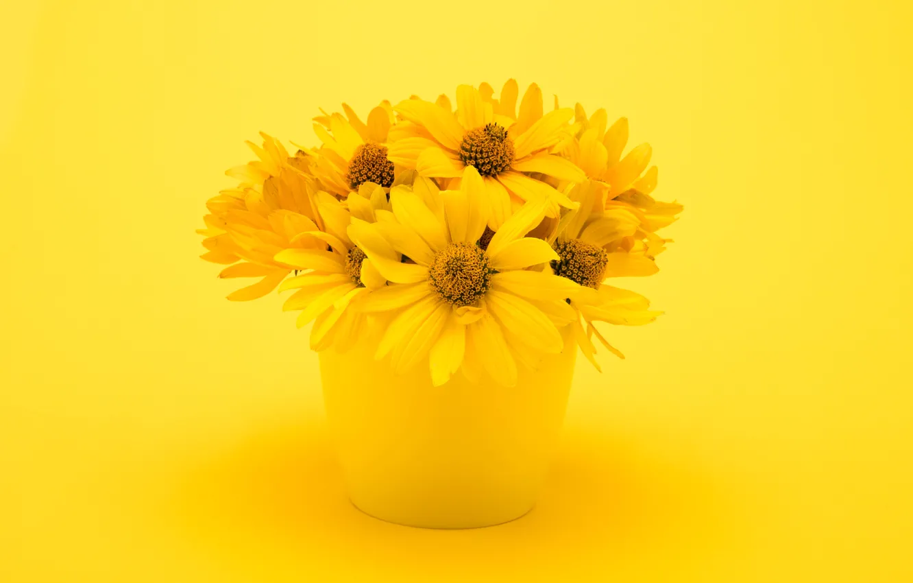 Фото обои Цветы, букет, ваза, хризантемы