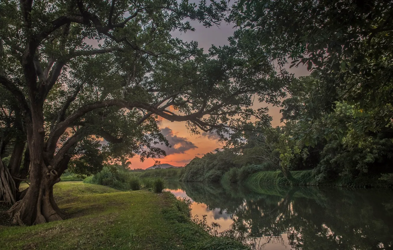 Фото обои Закат, Деревья, Река