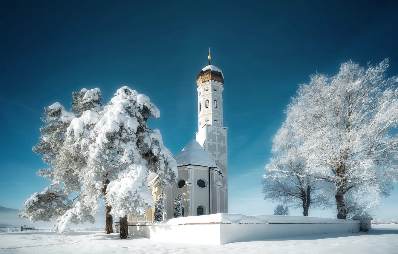 Фото обои зима, иней, небо, снег, деревья, синева, в снегу, мороз