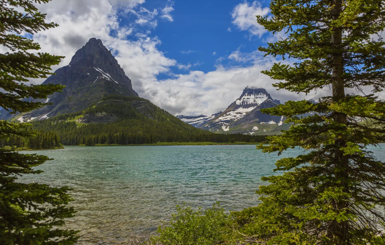 Фото обои лес, деревья, горы, озеро, скалы, США, Glacier, Montana
