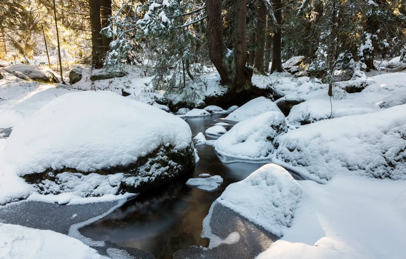 Фото обои зима, лес, снег, деревья, пейзаж, природа, ручей, камни