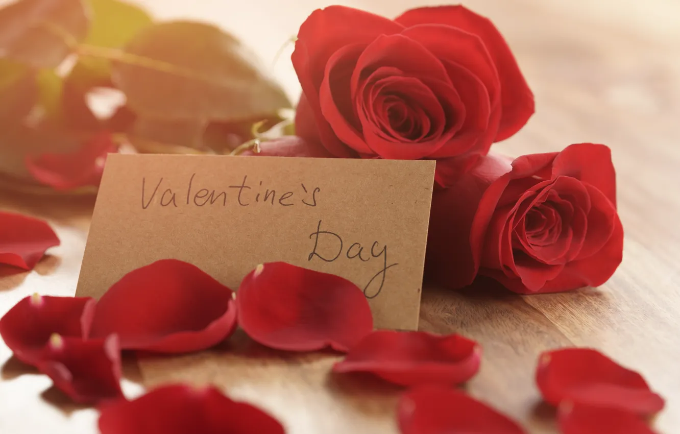 Фото обои букет, лепестки, red, romantic, Valentine's Day, gift, roses, красные розы