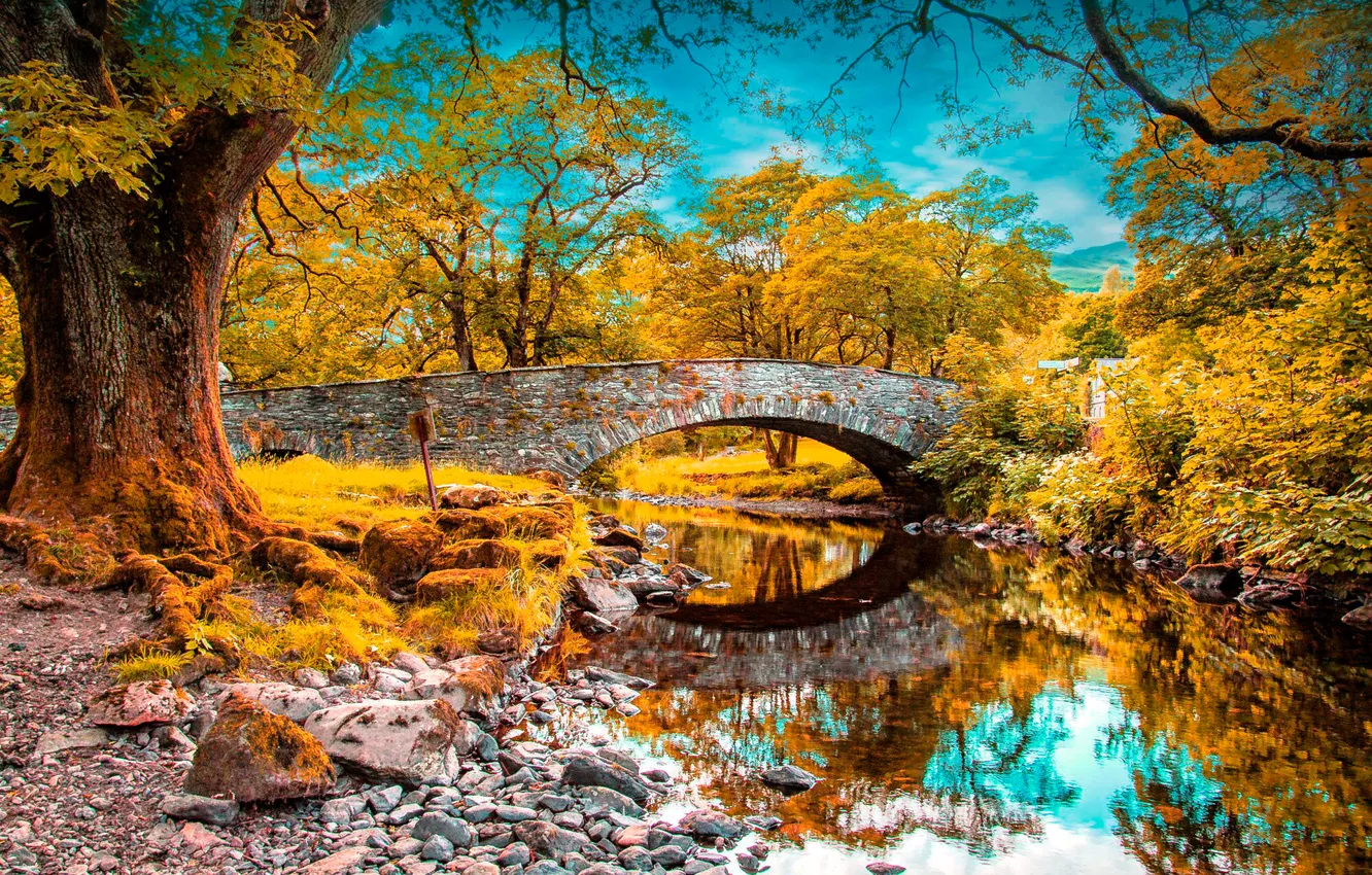 Фото обои осень, лес, небо, облака, деревья, мост, парк, река