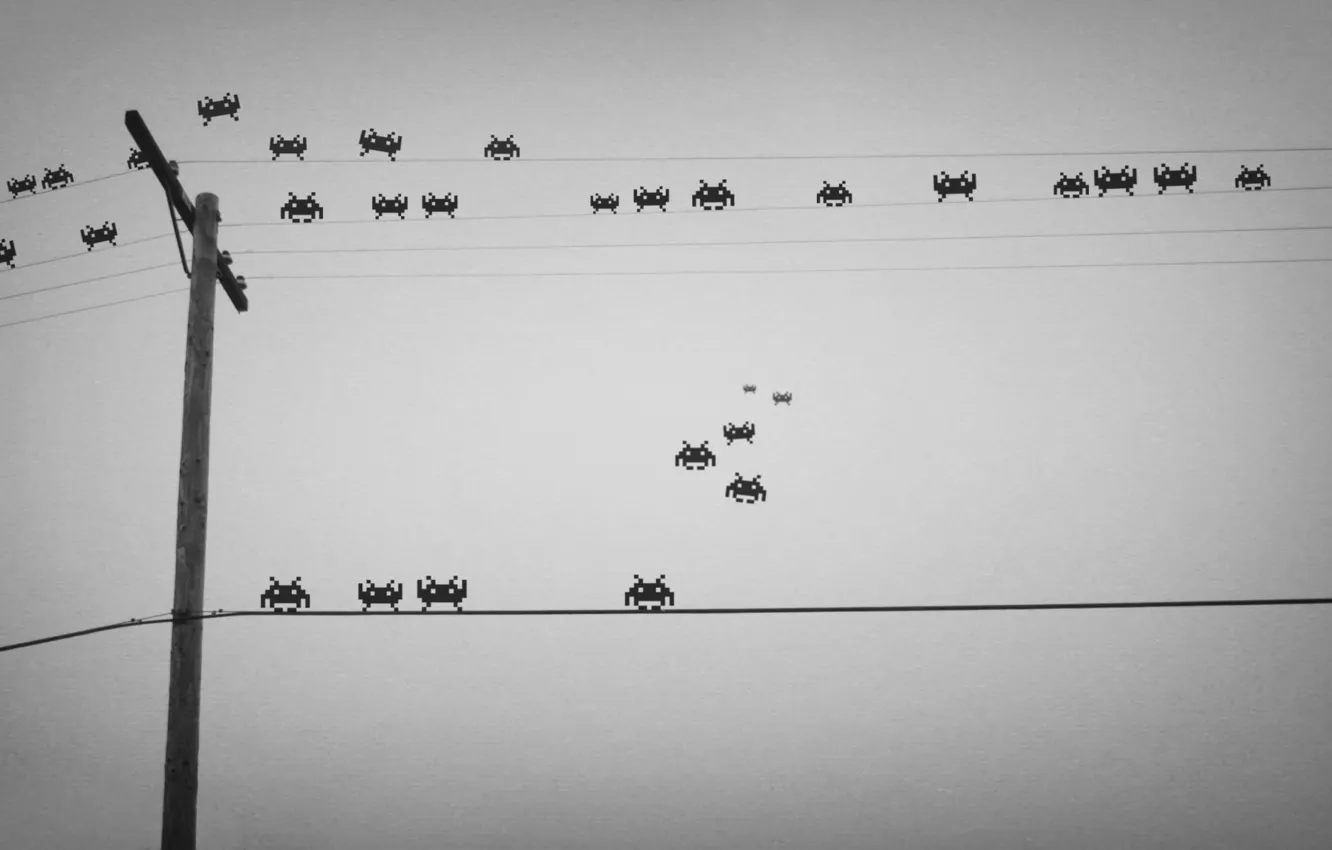 Фото обои столбы, провода, игра