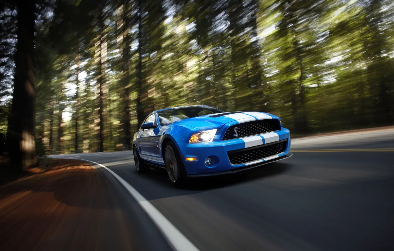 Фото обои скорость, Shelby, GT500, мускул-кар