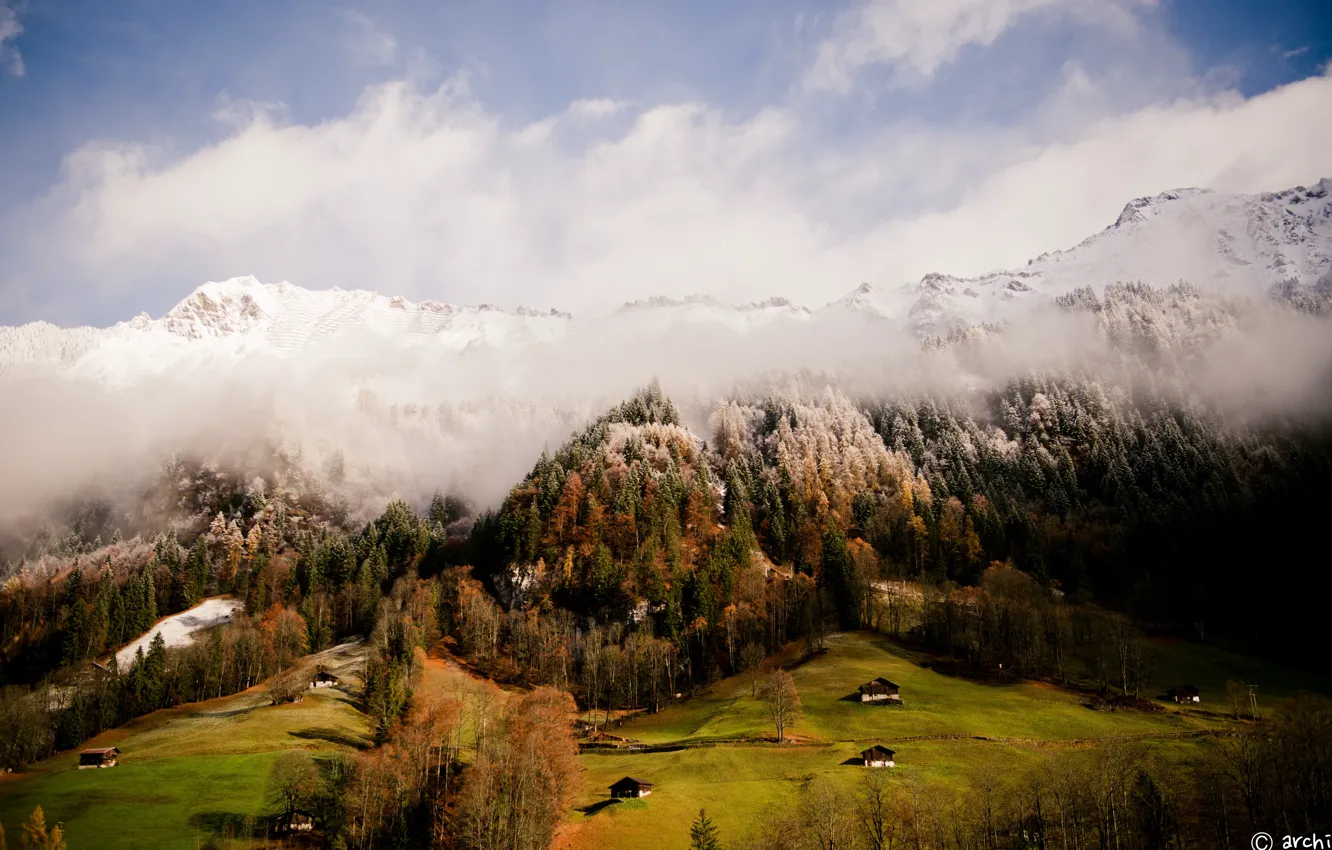 Фото обои grass, forest, sky, Switzerland, trees, nature, Europe, clouds