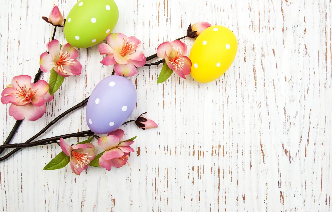 Фото обои цветы, яйца, весна, colorful, Пасха, happy, wood, pink