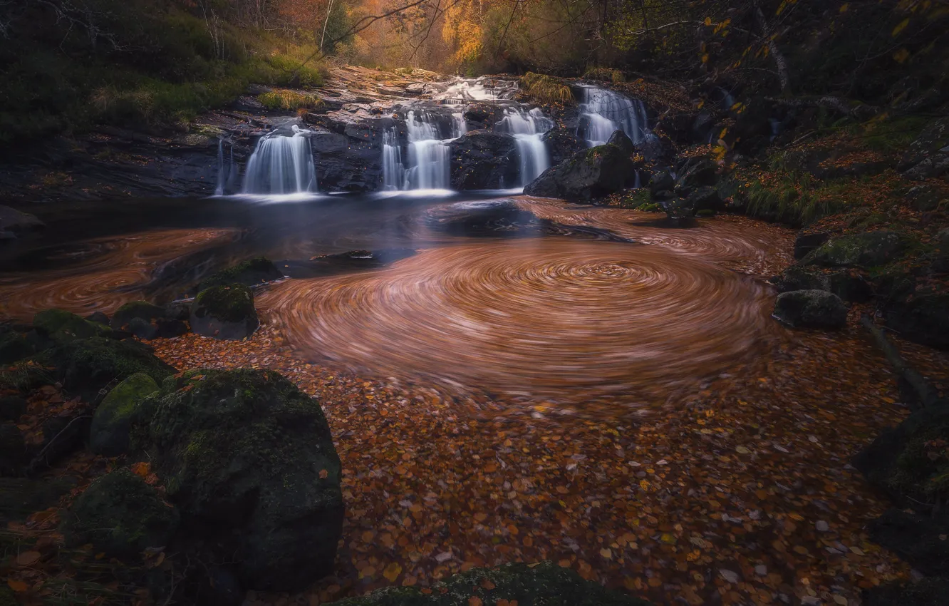 Фото обои осень, лес, деревья, камни, скалы, берег, водопад, водоем