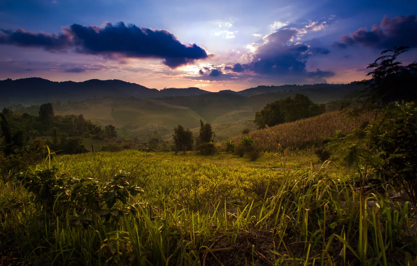 Фото обои небо, горы, тучи, растения, Thailand, Santikhiri