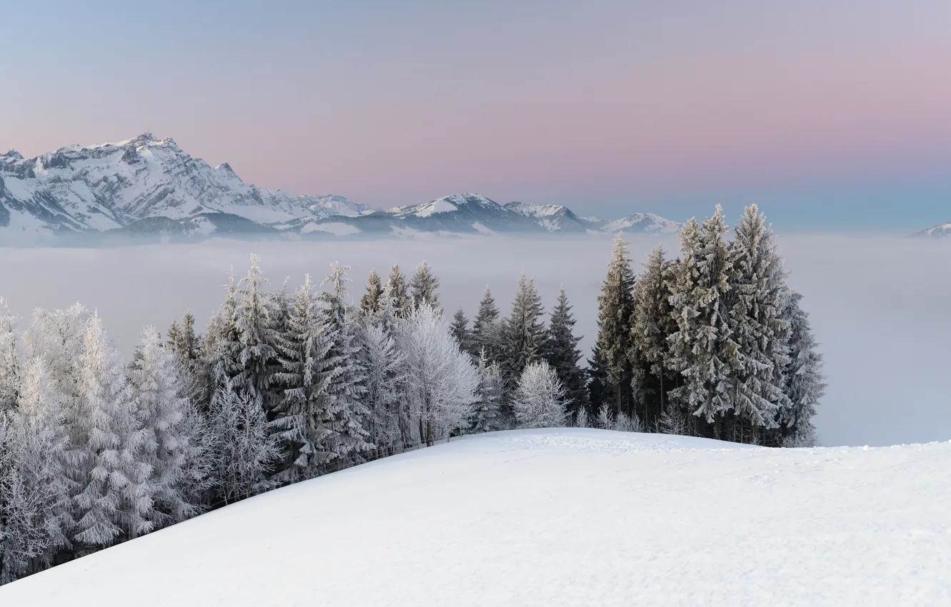 Фото обои зима, снег, деревья, пейзаж, горы, природа, туман