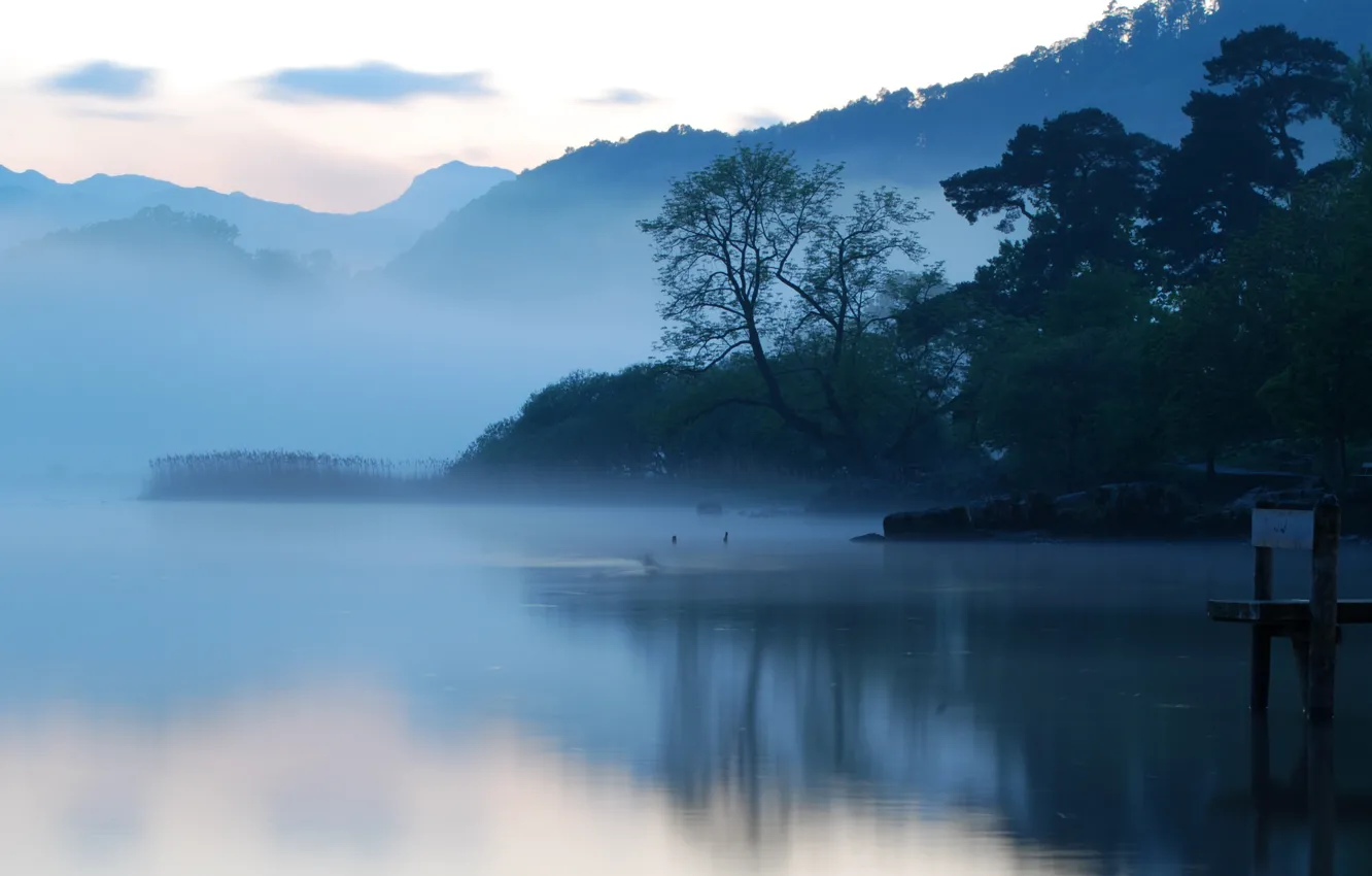 Фото обои water, morning, fog, Lake