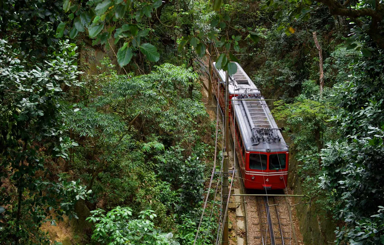 Фото обои поезд, Бразилия, Рио-де-Жанейро, Национальный парк Тижука, гора Корковадо