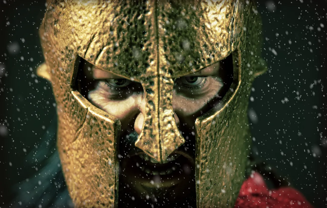 Фото обои взгляд, игрушка, шлем, статуэтка, Leonidas, Spartan King