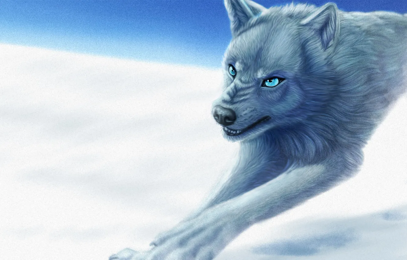 Фото обои зима, взгляд, снег, животное, волк, лапы, арт