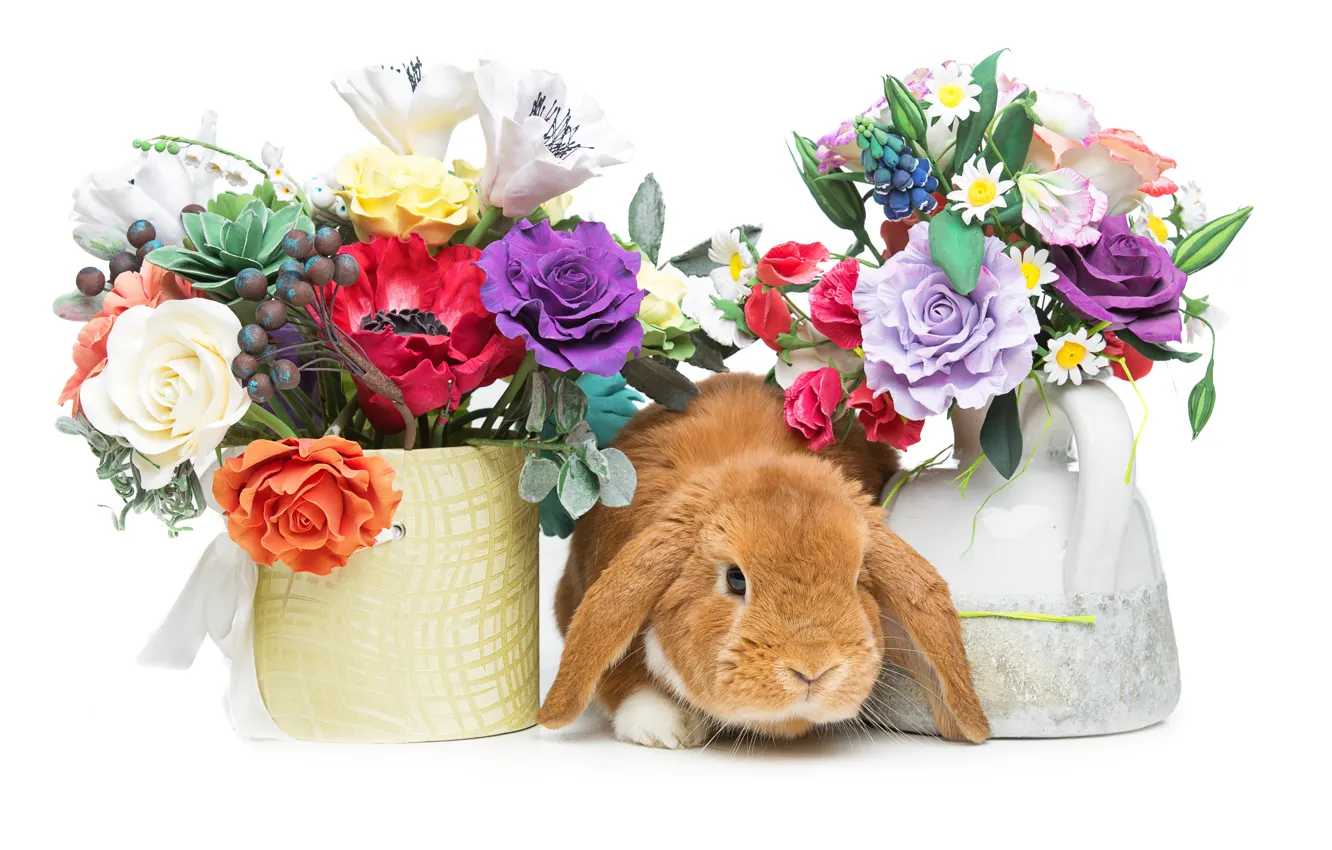 Фото обои цветы, корзина, кролик, Пасха, happy, rabbit, flowers, spring