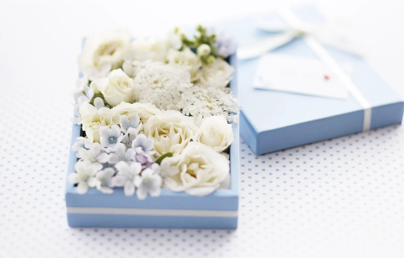 Фото обои цветы, коробка, декор