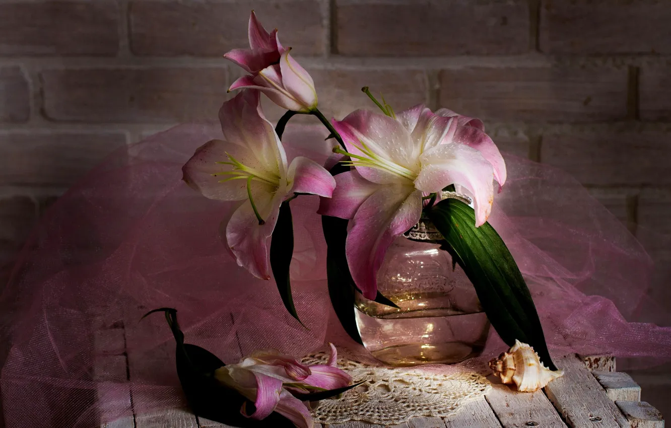 Фото обои цветок, лилии, утро, натюрморт