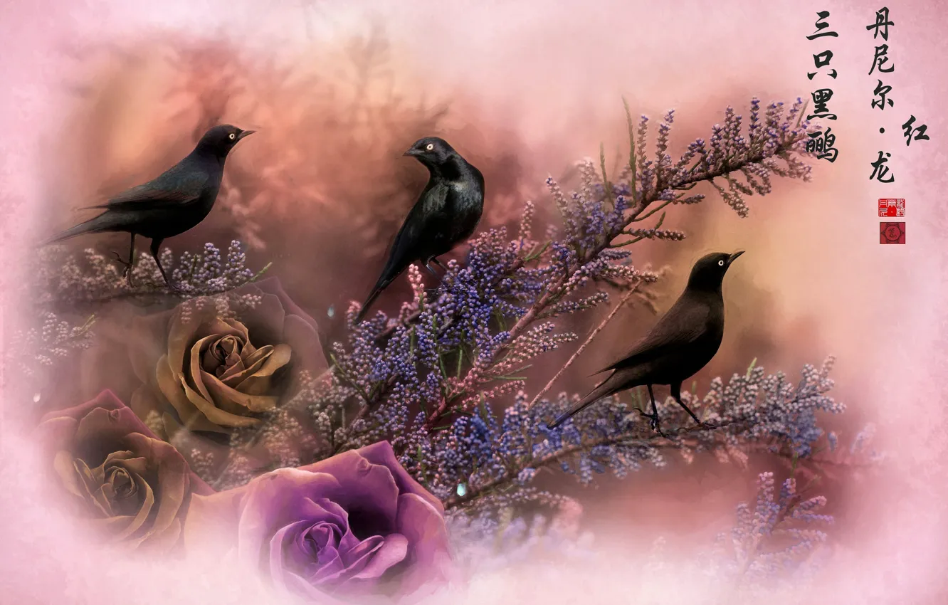 Фото обои птицы, ветки, роза, иероглифы