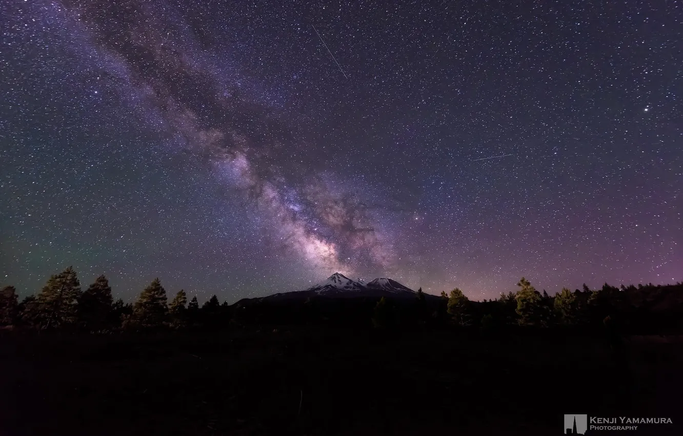 Фото обои лес, небо, звезды, Млечный путь, метеоры, photographer, Kenji Yamamura