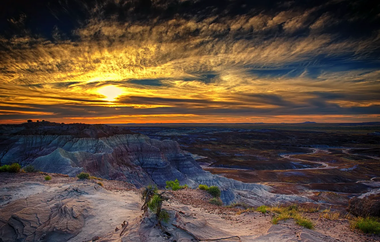 Фото обои пейзаж, закат, Arizona, Petrified Forrest