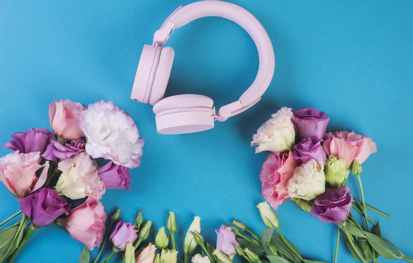 Фото обои цветы, фон, розовый, голубой, букет, colorful, pink, flowers