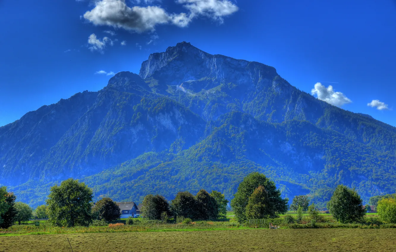 Фото обои поле, небо, деревья, горы, синева, Австрия, Anif