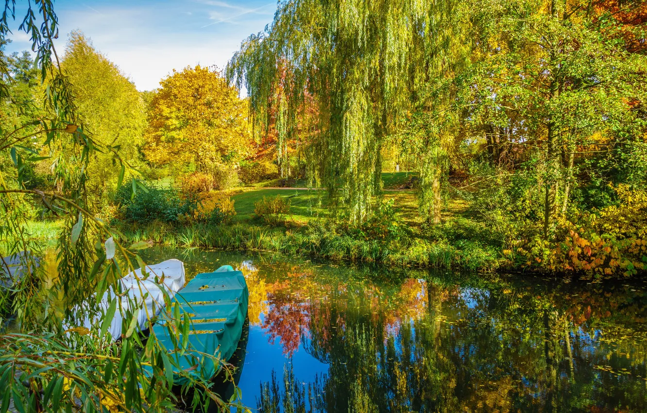 Фото обои осень, деревья, пруд, парк, камыши, лодки, аллея, скамейки