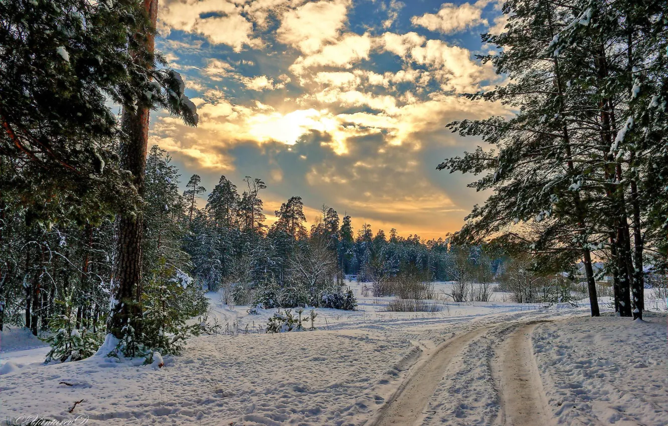 Фото обои зима, дорога, лес, снег, пейзаж, природа