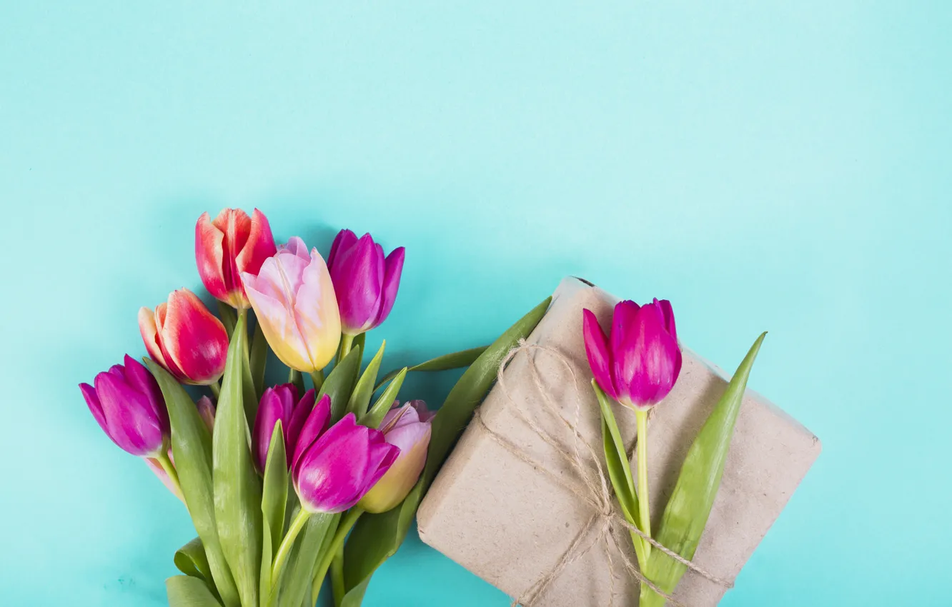 Фото обои цветы, colorful, тюльпаны, розовые, pink, flowers, tulips, spring