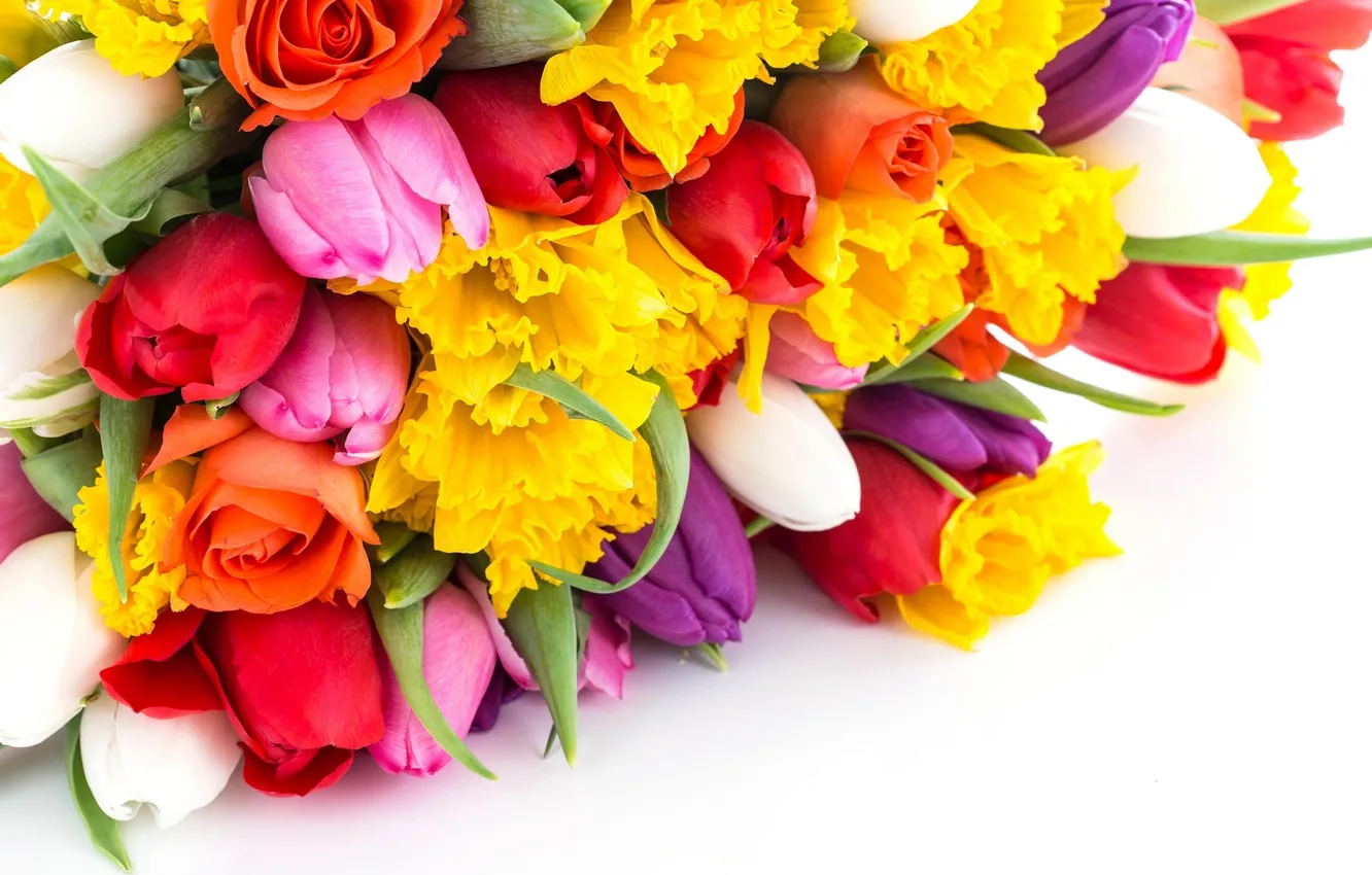Фото обои цветы, букет, тюльпаны