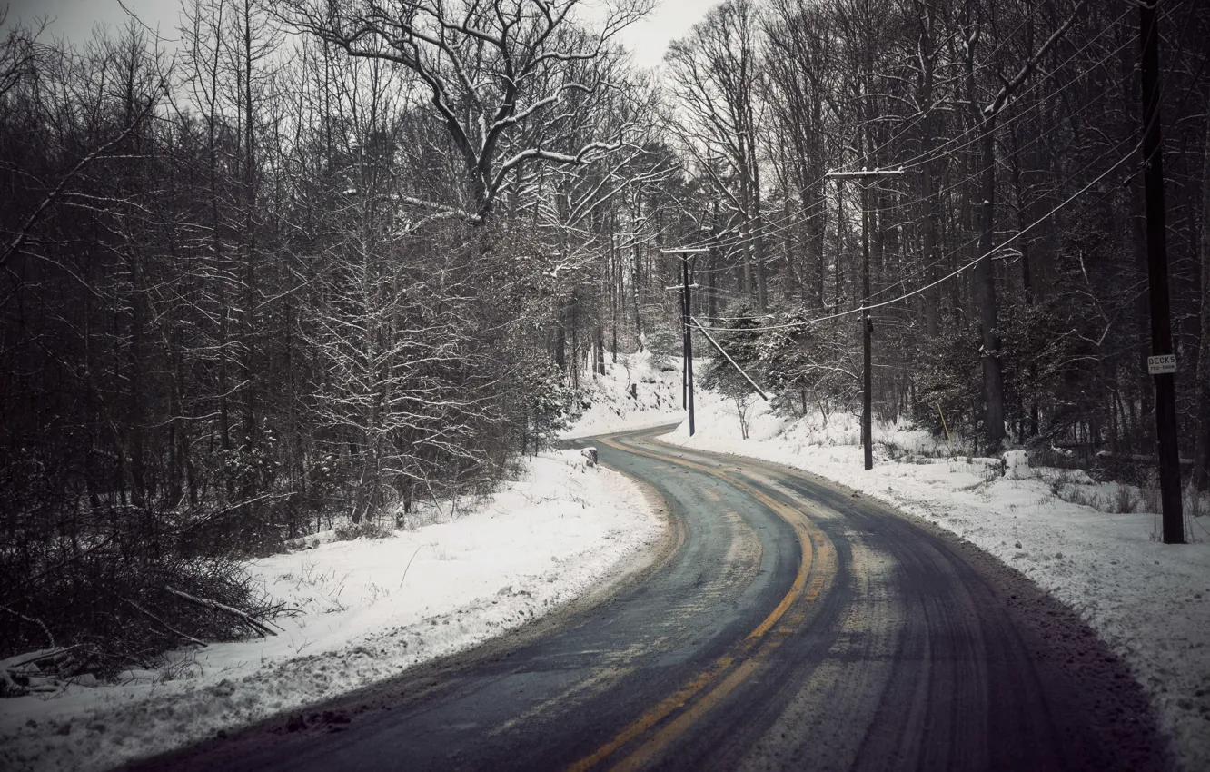Фото обои зима, дорога, снег, деревья, линия электропередач