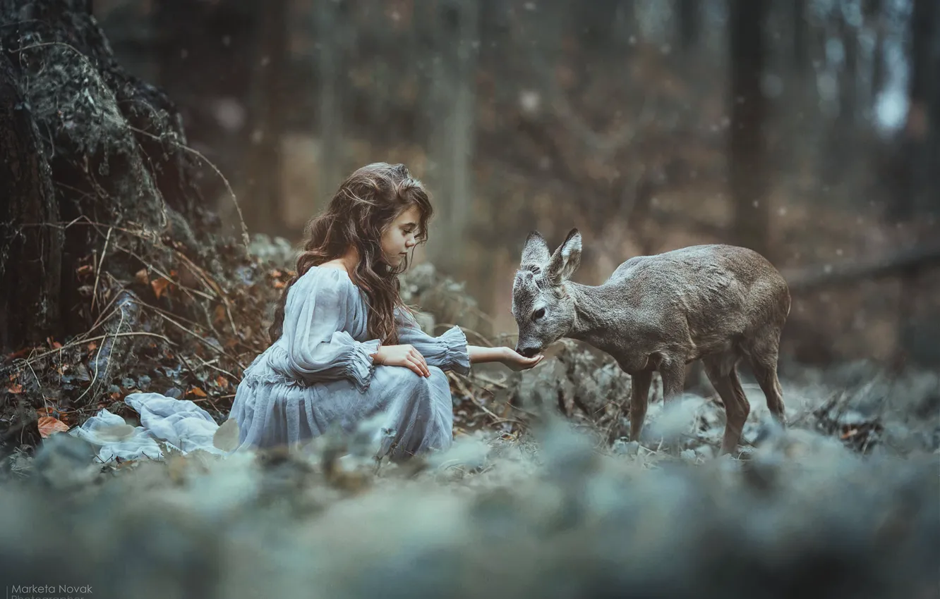 Фото обои лес, девочка, друзья, оленёнок, Marketa Novak