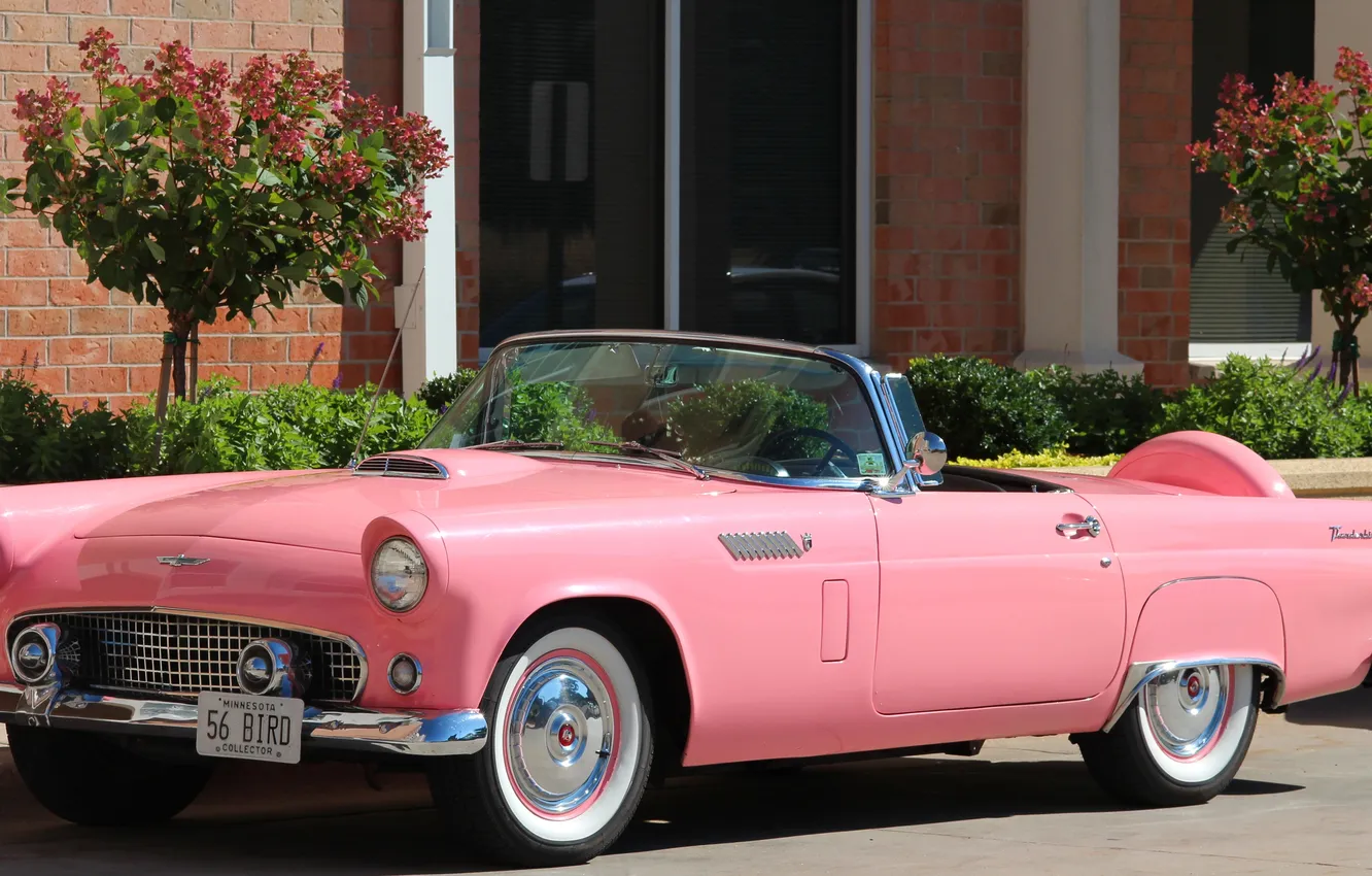 Фото обои классика, 1956, Thunderbird