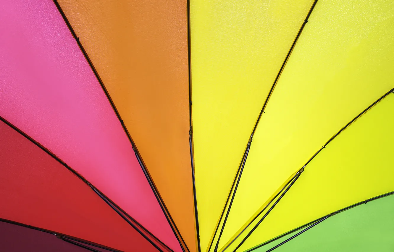 Фото обои фон, цвет, радуга, colors, зонт, colorful, rainbow, umbrella
