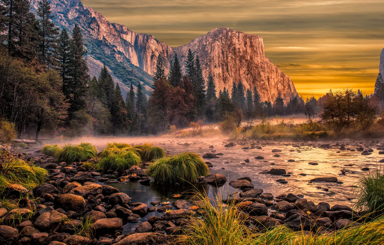 Фото обои лес, закат, горы, камни, скалы, берег, Йосемити, водоем