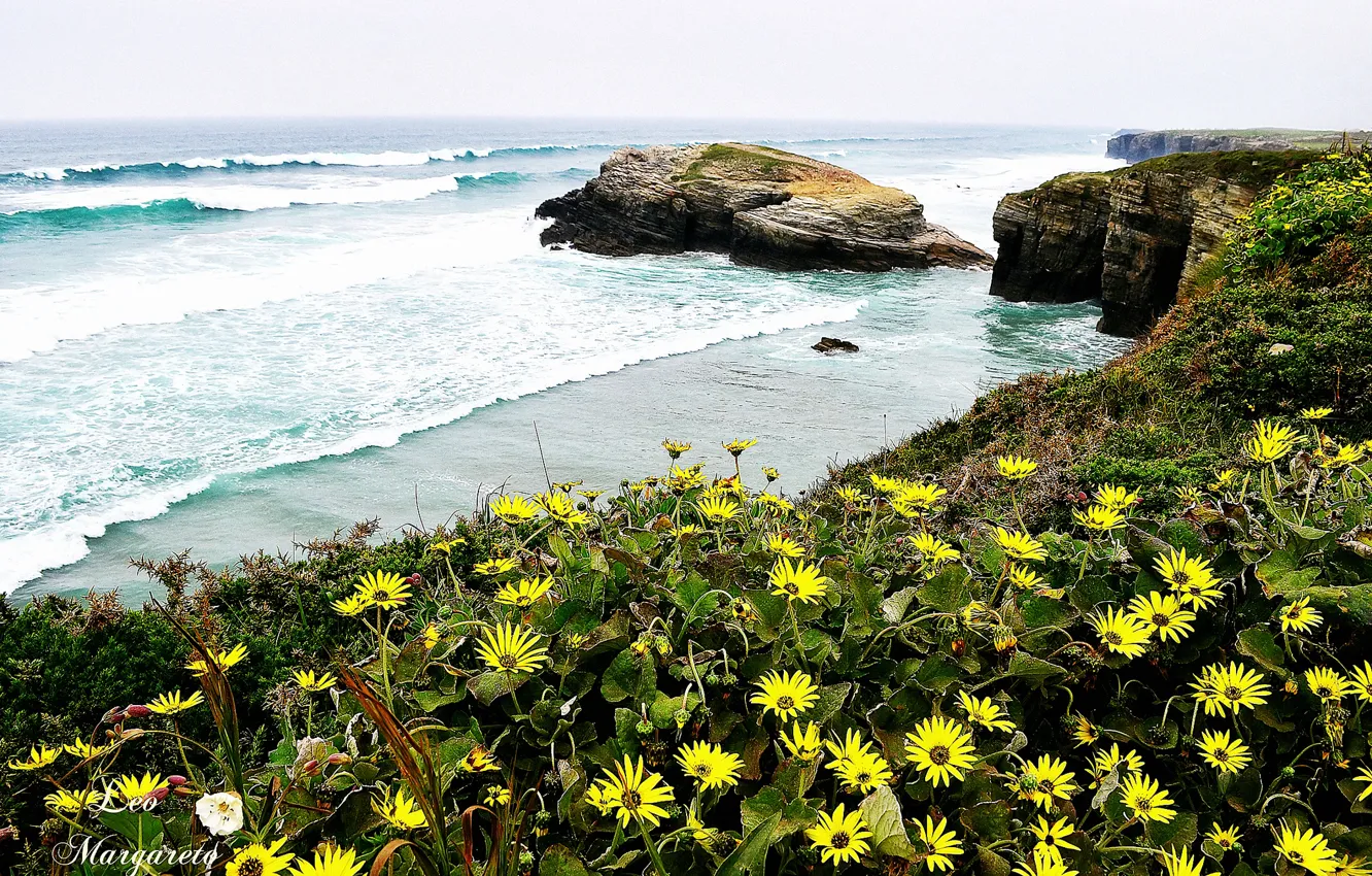 Фото обои море, волны, цветы, берег, Leo Margareto