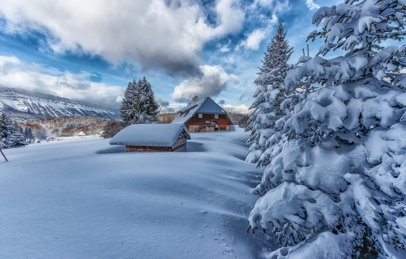 Фото обои зима, лес, облака, снег, деревья, горы, склоны, дома