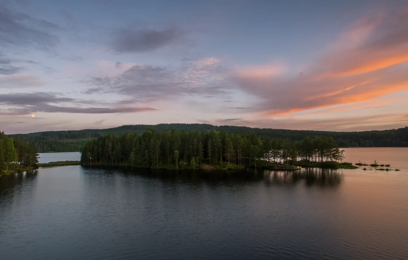 Фото обои лес, озеро, рассвет, остров, утро