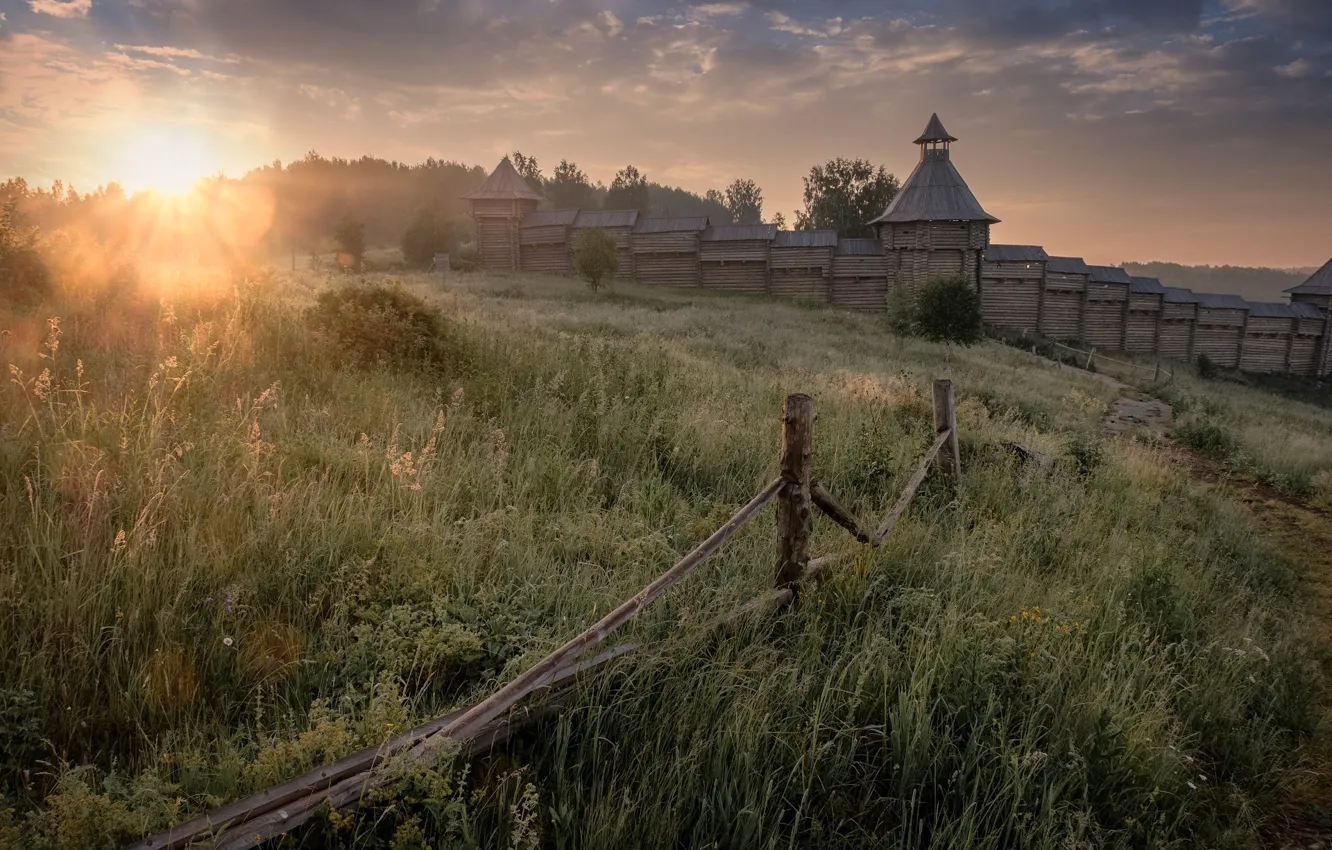 Фото обои поле, лес, лето, трава, солнце, облака, лучи, блики