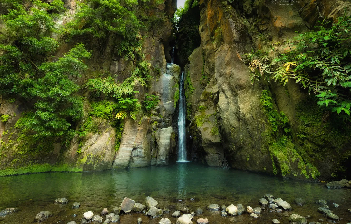 Фото обои лето, река, водопад