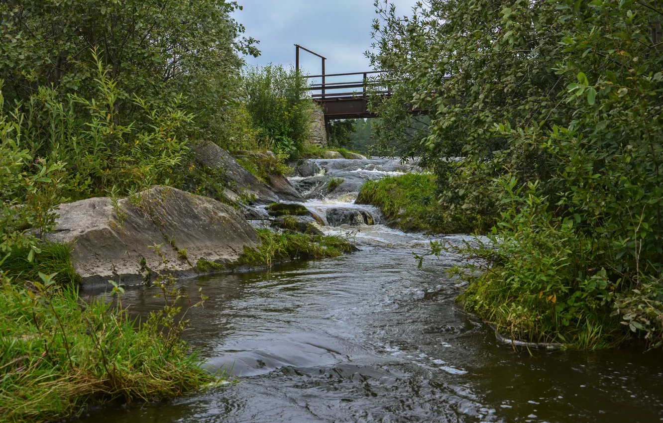 Фото обои трава, вода, мост, природа, река, ручей, камни, течение