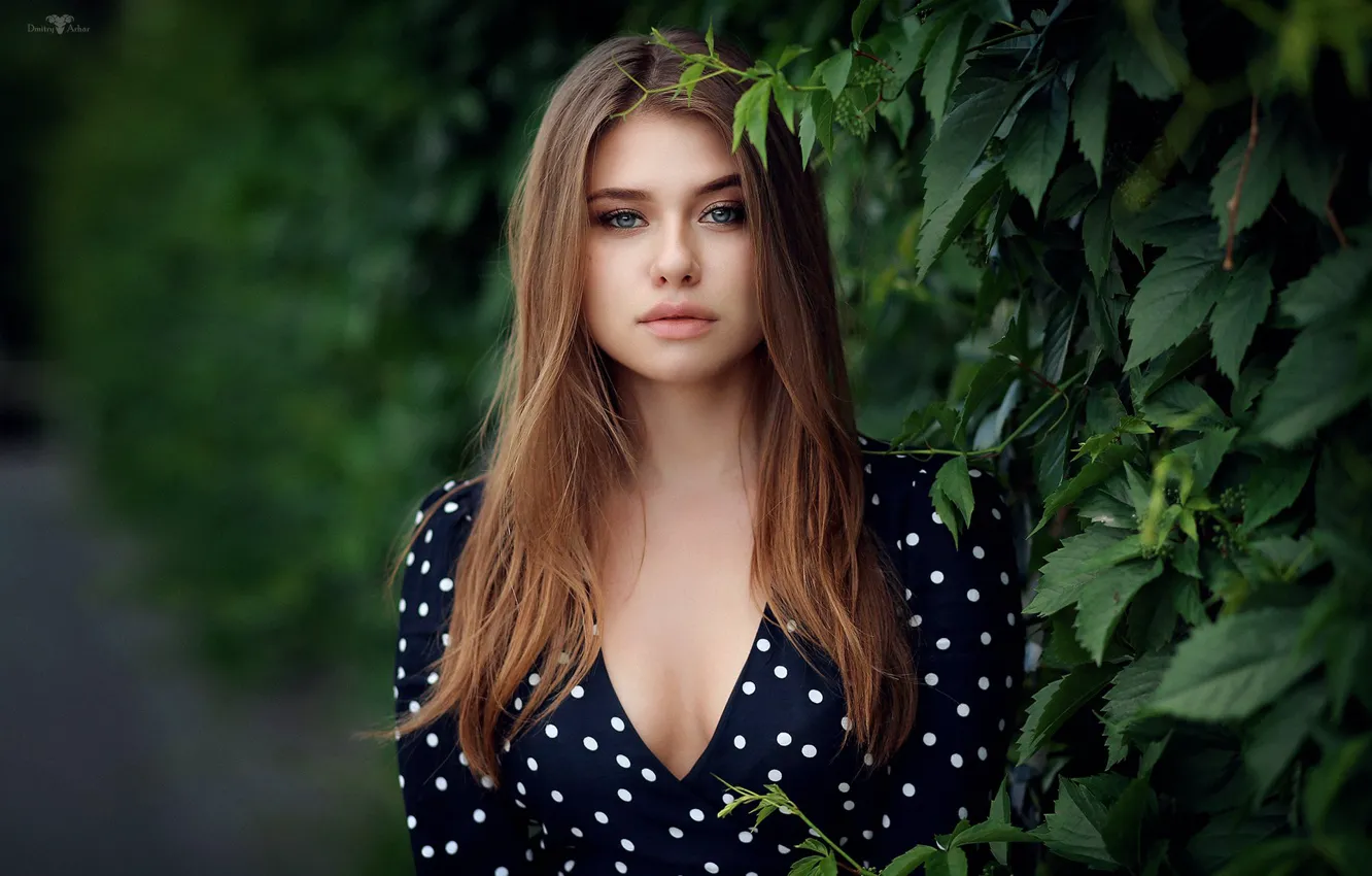 Фото обои взгляд, листья, девушка, лицо, портрет, виноград, Dmitry Arhar, Дмитрий Архар