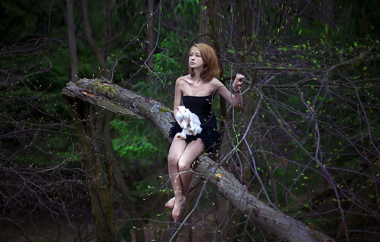Фото обои девушка, дерево, кролик