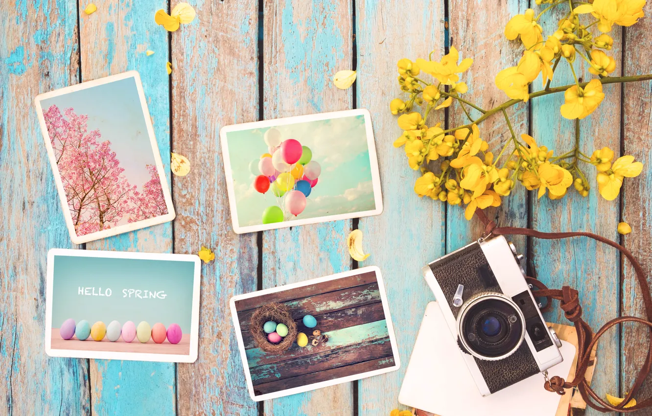 Фото обои цветы, фото, яйца, весна, камера, colorful, Пасха, vintage