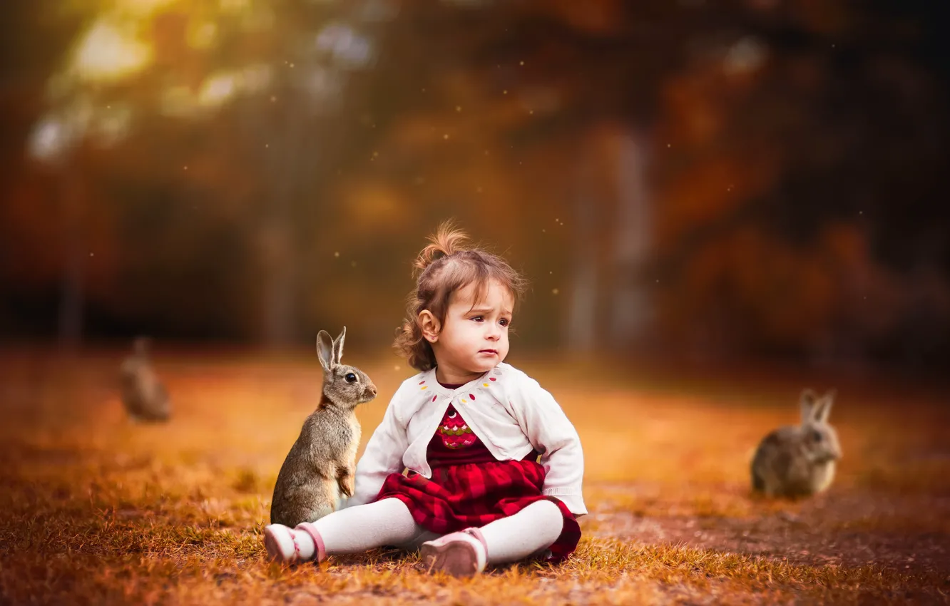 Фото обои фон, девочка, кролики