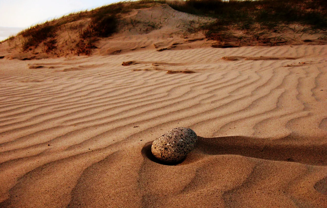 Фото обои песок, небо, трава, камень, дюны